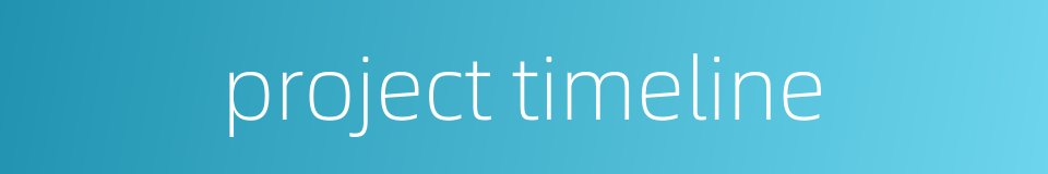project timeline的同义词