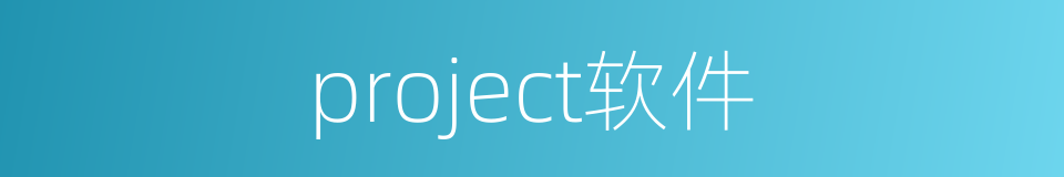 project软件的同义词