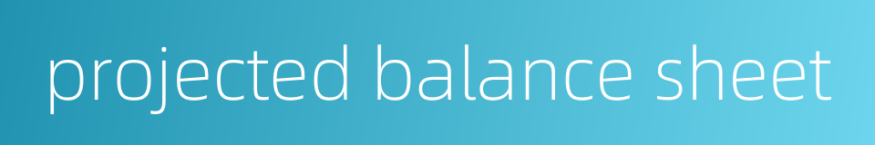 projected balance sheet的同义词