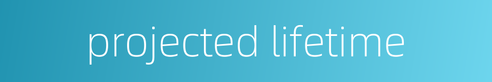 projected lifetime的同义词
