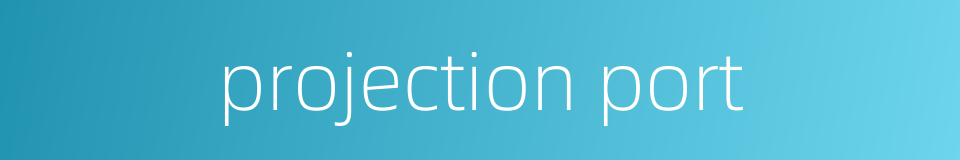 projection port的同义词