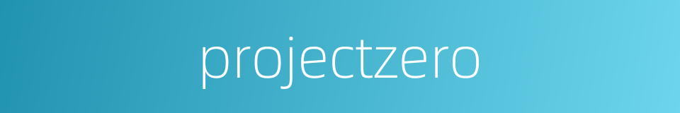 projectzero的同义词