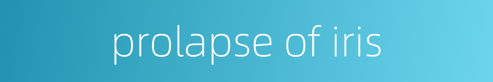 prolapse of iris的同义词