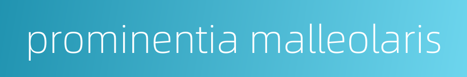 prominentia malleolaris的同义词