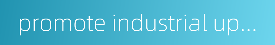 promote industrial upgrading的同义词