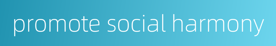 promote social harmony的同义词