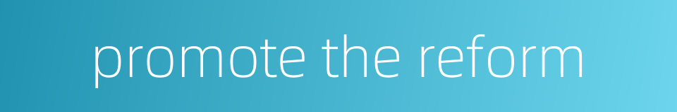 promote the reform的同义词