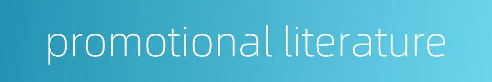 promotional literature的同义词