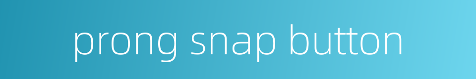 prong snap button的同义词