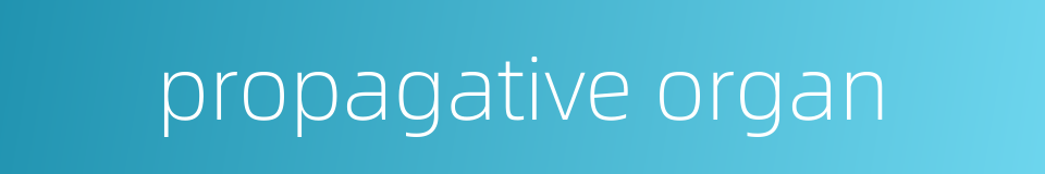 propagative organ的同义词