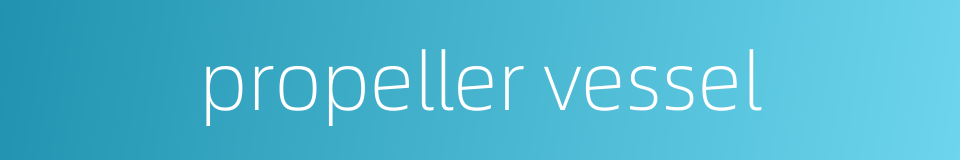 propeller vessel的同义词