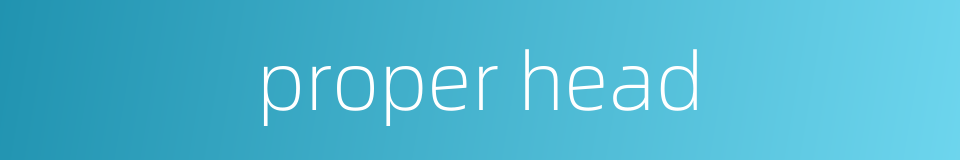 proper head的同义词