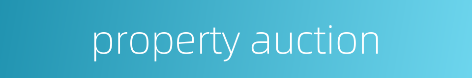property auction的同义词
