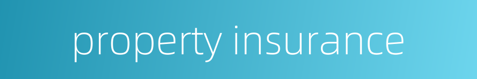 property insurance的同义词