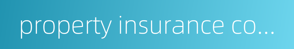 property insurance contract的同义词