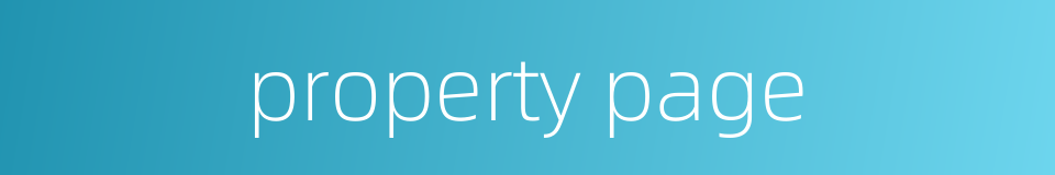 property page的同义词