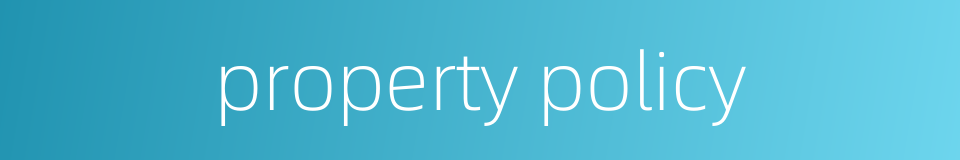 property policy的同义词