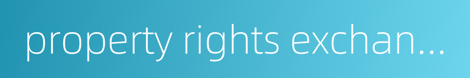 property rights exchange market的同义词