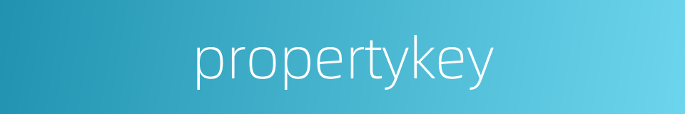 propertykey的同义词