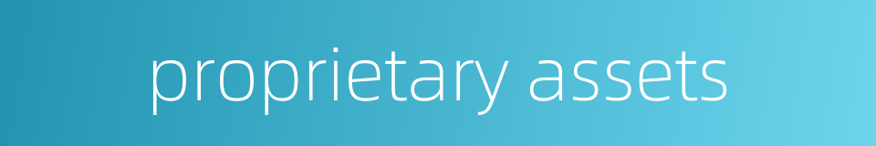 proprietary assets的同义词