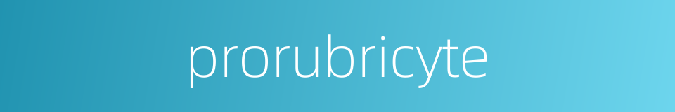 prorubricyte的同义词