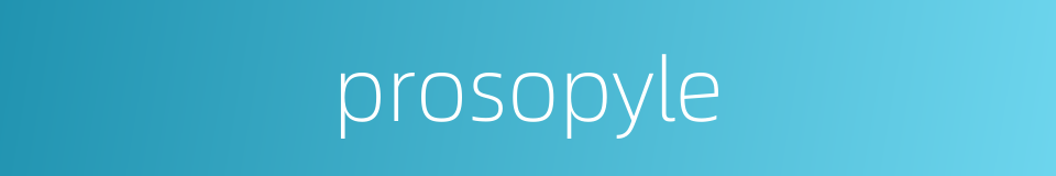 prosopyle的同义词