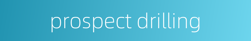 prospect drilling的同义词