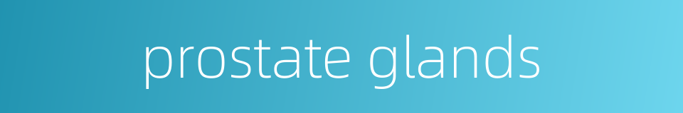 prostate glands的同义词