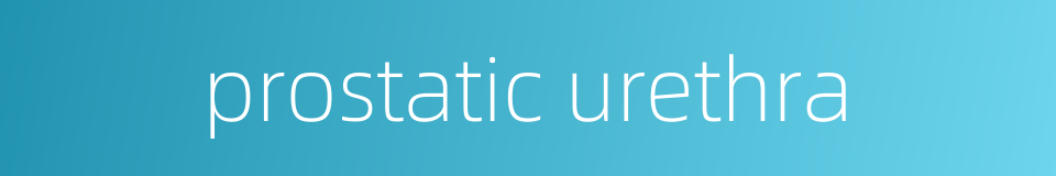 prostatic urethra的同义词