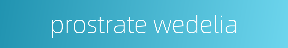 prostrate wedelia的同义词