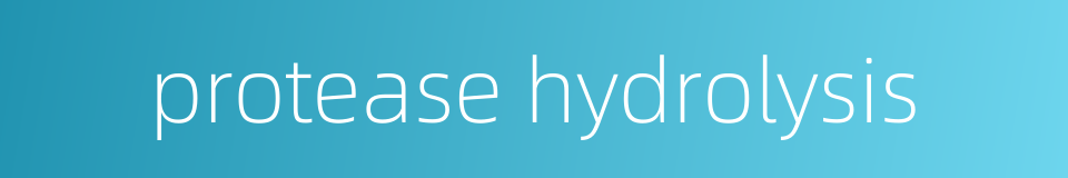 protease hydrolysis的同义词