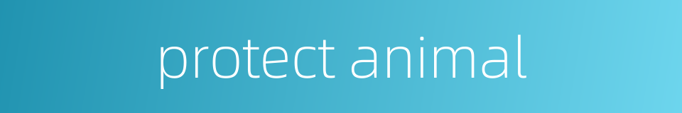 protect animal的同义词