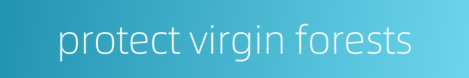 protect virgin forests的同义词