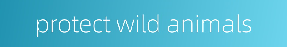 protect wild animals的同义词