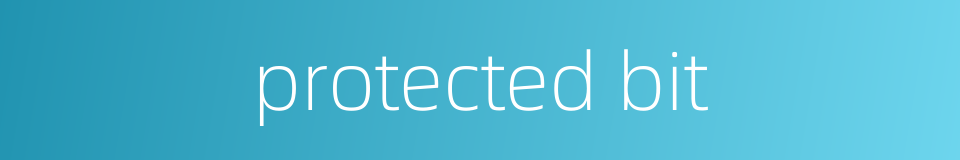 protected bit的同义词