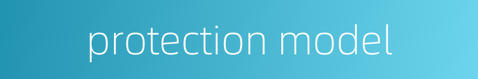 protection model的同义词