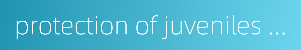 protection of juveniles rights的同义词