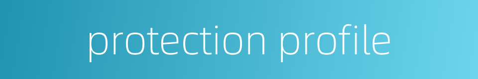 protection profile的同义词