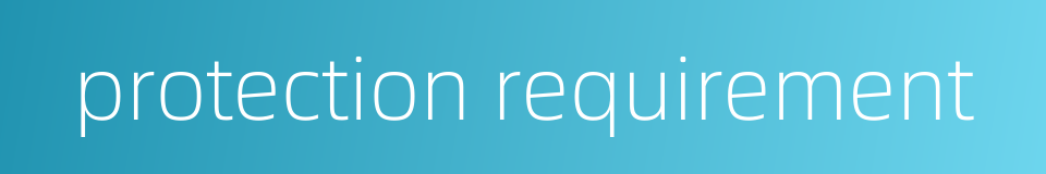 protection requirement的同义词