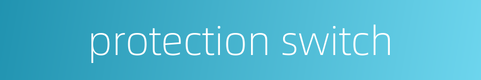 protection switch的同义词