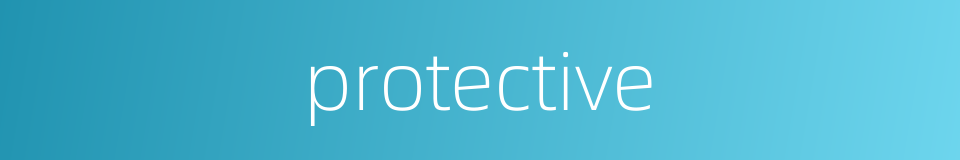 protective的同义词