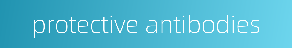 protective antibodies的同义词