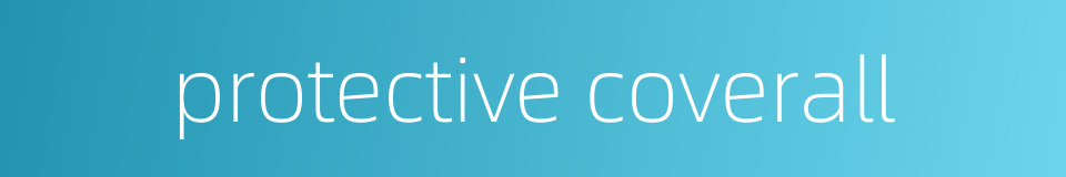 protective coverall的同义词
