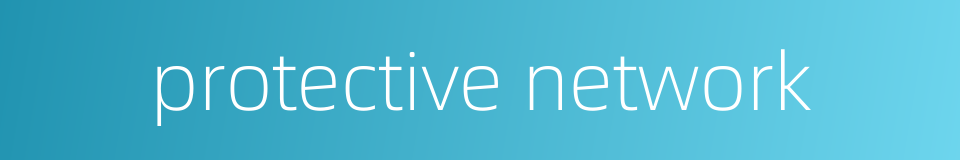 protective network的同义词