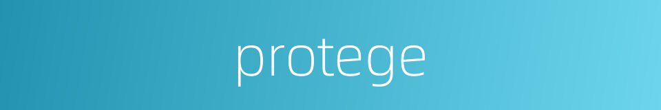 protege的同义词