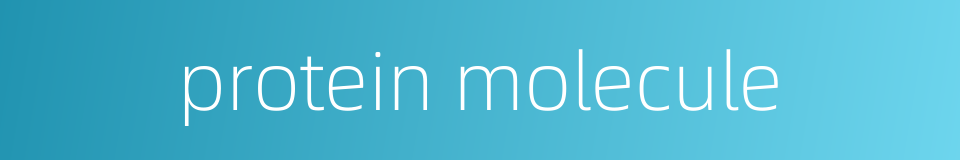 protein molecule的同义词