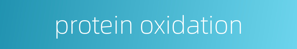 protein oxidation的同义词