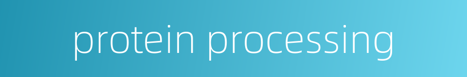 protein processing的同义词