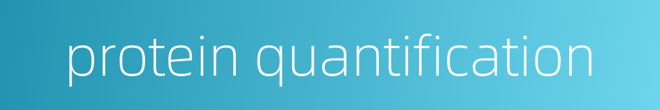 protein quantification的同义词