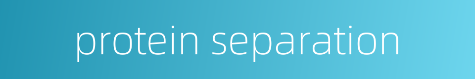 protein separation的同义词